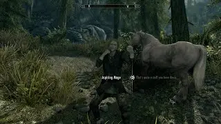Skyrim aspiring mage murder, he wouldnt give staff