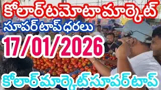 కోలార్ టమోటా మార్కెట్ సూపర్ టాప్ ధరలు #kolartomatomarketpricetoday #kolar #price #tomato #rates 