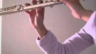 Secret Base ~ Kimi ga Kureta Mono~ - Anohana ED (flute cover)