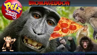 We got HOW many MONKEYS?! - Petz: Crazy Monkeyz [Bromageddon]