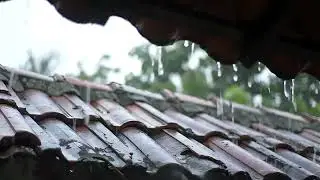 Chuva no Telhado para Dormir Profundamente. Vídeo SEM ANÚNCIO. Sons Relaxantes.