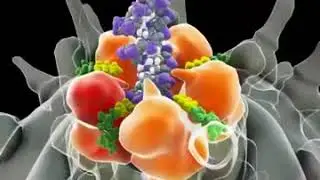 &Phi;29 Phage Molecular Motor DNA Packaging Mechanism   3D version