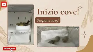 Cove 2025: prime deposizioni!