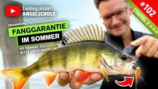 FANGGARANTIE &ndash; So f&auml;ngst du BARSCHE im August 🎣 ✅