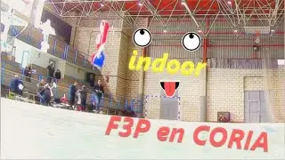 Aeromodelismo vuelo indoor F3P CORIA