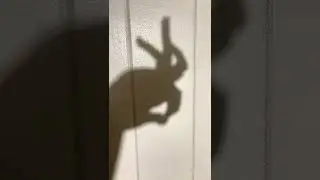 Shadow puppet