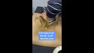 Changeover Hoek Cell Membrane