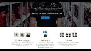 Rivoluzionare la Gestione dei Ricambi Auto con il Riconoscimento Immagini IA | LekoTech
