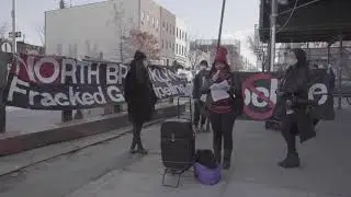 LandProtectors CourtSupport