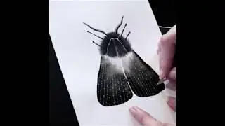 How to Paint a Moth