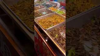 Insect Snacks in Cambodia #streetfood #cambodian #siemreapertravel #food  #foodie  #thaifood