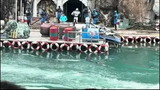 Bangkok Safari World Spy show, one of the best show