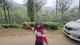 Dance at Munnar Tea estate