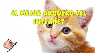 Mejores Caidas y Videos Graciosos, chistosas de Risa | el gato arquero