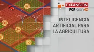 ¿Que es Farmbeats? ¿Cómo la inteligencia artificial ayuda a la agricultura sustentable?