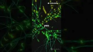 Your Brain Isn&rsquo;t Fixed&mdash;Unlock Neuroplast