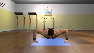 Fitness 3D - Piegamenti sulle braccia (Push-Up)