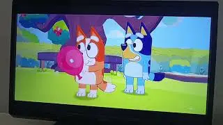 Bluey xbox oyun oynama