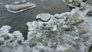 Icy Waters