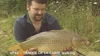 La traque de la carpe stalking