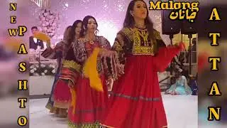 New Pashto traditional Attan performance 🔥|Mast Pashto song| Pashto Cultural Attan performance 2026