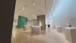 Dallas museum of art