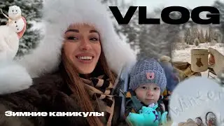VLOG:Зимние каникулы❄️|Потеряла IPHONE|Сломалась машина🥺| Жульен в аэрогриле|Семейные будни в январе
