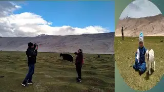 nomad life jangthang sumdho