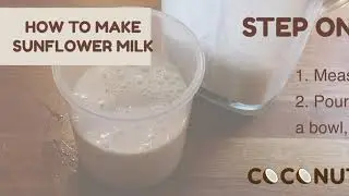 How To Make Sunflower Seed Milk at Home (3 Ingredients)