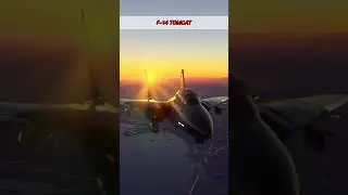 F-14 Tomcat Cruising at Sunset | Iconic Fighter Jet in Golden Sky