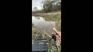 Urban Fishing after a Flood