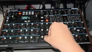 Chromatic Ambience #jamuary2026 Sequencer + Live Playing on Novation Peak