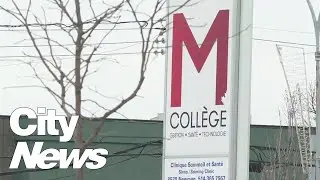 Three Quebec colleges file for creditor protection