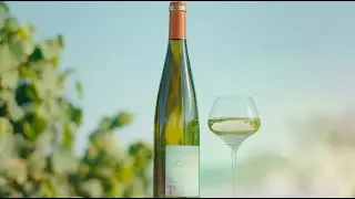 #4 Packshot Vid&eacute;o : Pinot gris 2022 - CAVE DE TURCKHEIM