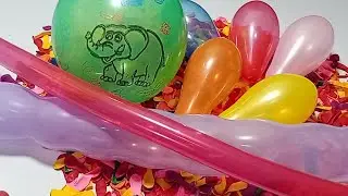 Lots of Colorful Mini Balloons | ASMR Satisfying | popping Fun with Balloon 💕