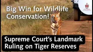 Supreme Court&rsquo;s Landmark Ruling on Tiger Reserves | Big Win for Wildlife Conservation!