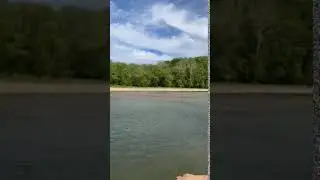 Video of Hootentown Canoe Rental & Campground, MO from Linze K.