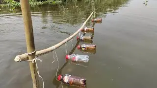 Bottle fishing video in beautiful village | Unbelievable Fishing Catch Fish in Palm Tree ||