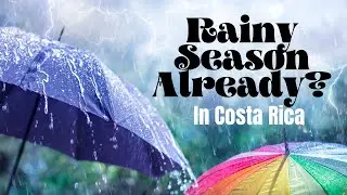RAINY WALK IN COSTA RICA!! ☔️