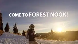 Come to Forest Nook 2016
