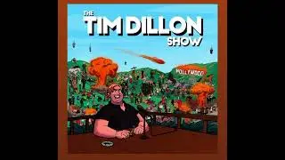 Tim Dillon Show - Episode 353 - Bird Dog Ad w/ Story