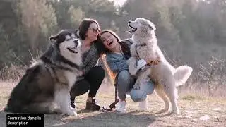Comment dresser son chien de A &agrave; Z - 15 min par jour: Formation professionnelle