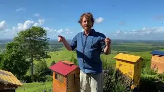 Beginner beekeeping Q&A with Cedar 🤷&zwj;♂️🐝