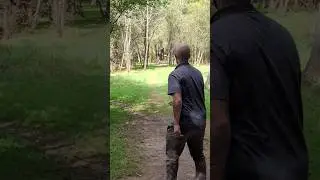 🎯 Top 4 Disc Golf Shots: 3 Amazing & 1 Epic Fail on Stunning Wood & Field Courses 🌲🌾