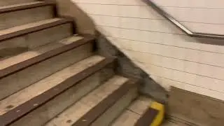 Woodhaven blvd station
