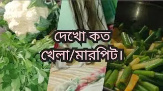 দেখো বিল্লিছানারা কত খেলা/মারপিট করছে।#bengalivlogs #জীবনস্বাতী 