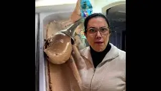 Первый день после возвращения, а меня уже выгнали 😂 #точка зрения
