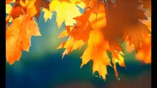 Sade- Cherish The Day (Long Version)