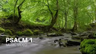 Psalm 1 (Like a Tree Planted by Streams | Bible Worship Song)