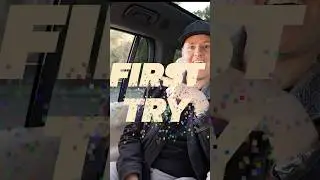 Controlling Chinese Cars with my VOICE!